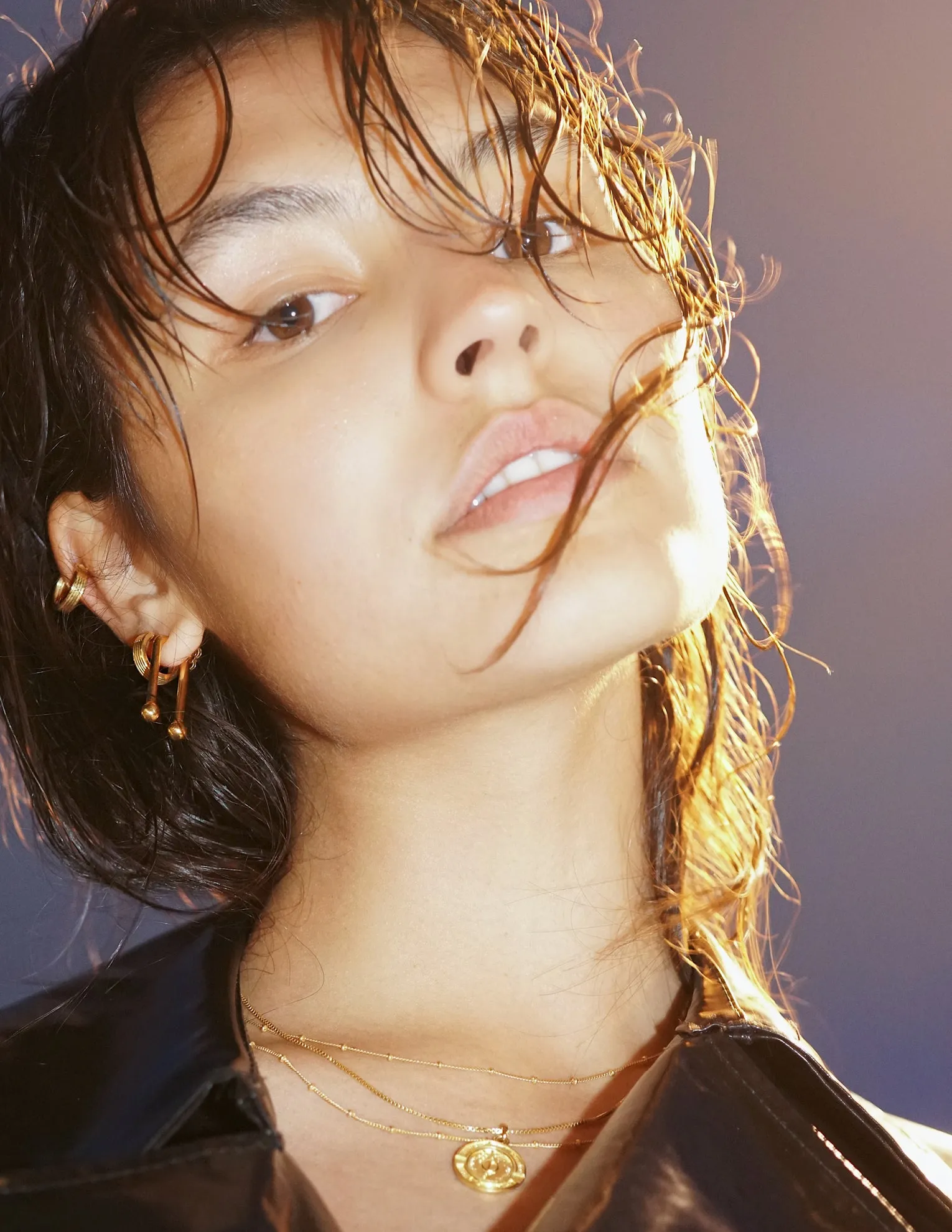 Iris Hoop earrings <br>Gold Vermeil