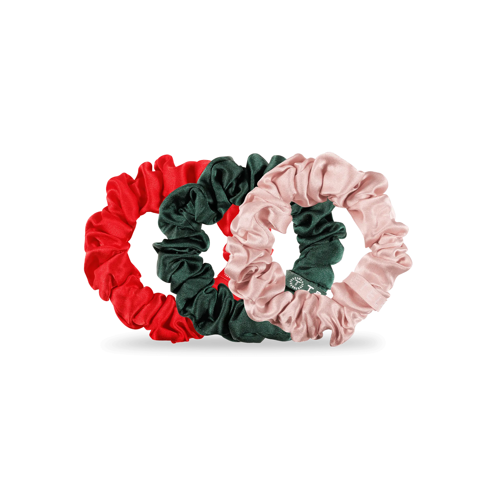 Poinsettia
